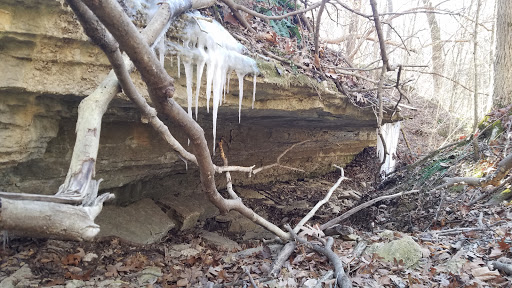 Nature Preserve «Engelmann Woods Natural Area», reviews and photos, 2360 Hwy D, Boles Township, MO 63304, USA