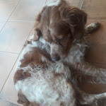 Photo n°7 de l'avis de Graziella.u fait le 17/08/2020 à 09:26 sur le  AGRITURISMO  Marruchetone Vecchio  à Manciano