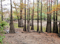 Lile Real Estate, Inc. - Photo 4 - Car repair in Little Rock, AR, Little Rock