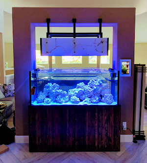 Aqua Lab Aquaria - photo 9