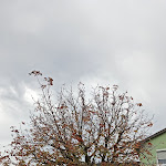 Photo n°1 de l'avis de Uschi.c fait le 25/10/2023 à 06:09 sur le  Hotel Held à Regensburg