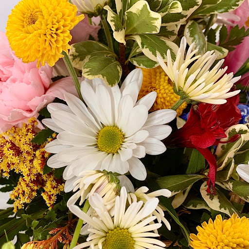 Florist «Adrienes Flowers & Gifts», reviews and photos, 1249 Conner St, Noblesville, IN 46060, USA