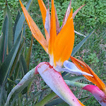 Photo n°2 de l'avis de Alex.e fait le 13/01/2023 à 19:25 sur le  Quinta del Mar da Luz à Praia da Luz