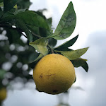 Photo n°2 de l'avis de Julie.c fait le 14/01/2019 à 15:23 sur le  Hotel Borgo Pantano à Syracuse