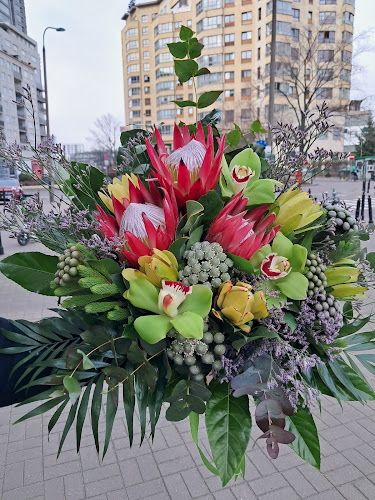 Dzika 19/23, 00-172 Warszawa