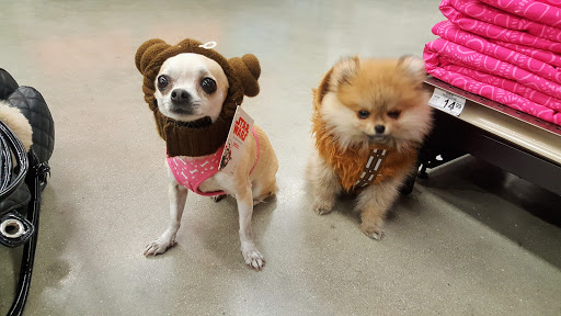 Pet Supply Store «Petco Animal Supplies», reviews and photos, 8161 Beverly Blvd, Los Angeles, CA 90048, USA