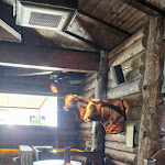 Photo n°12 de l'avis de ineta.u fait le 15/07/2023 à 10:39 sur le  Timberjacks Göttingen à Göttingen