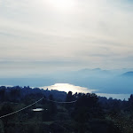 Photo n°1 de l'avis de Claudio.a fait le 19/06/2021 à 05:12 sur le  Malga Traure à San Zeno di Montagna