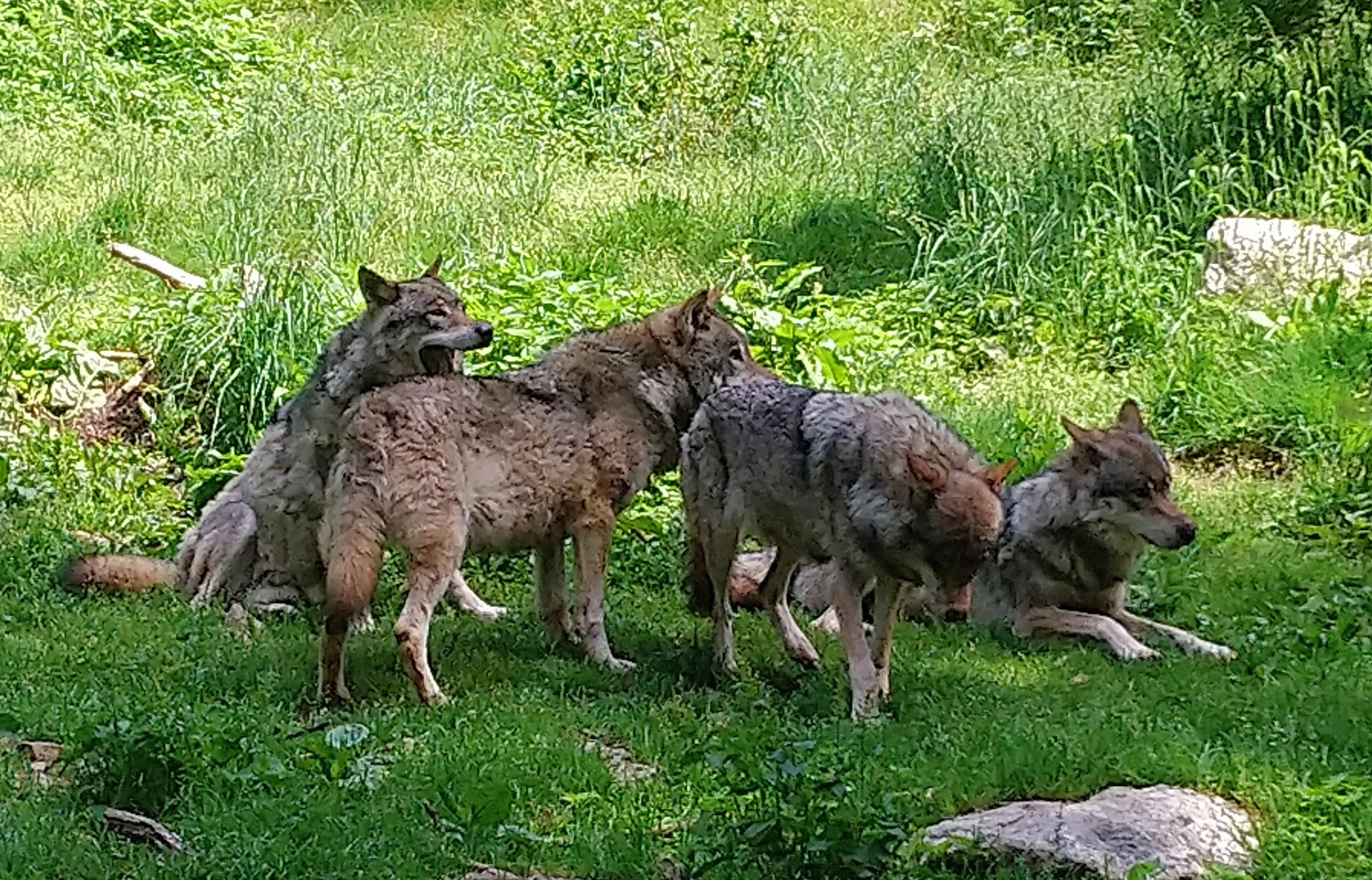 Photo n° 7 de l'avis de CHRISTOPHE. fait le 02/08/2019 à 07:51