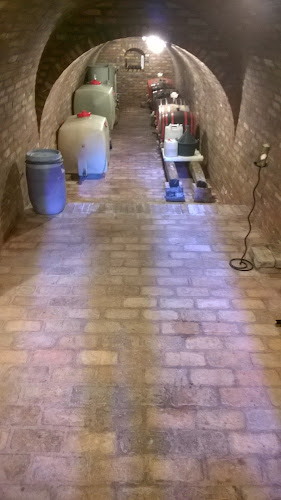 Opinii despre Vásárhelyi Pince în Monor - Kocsma