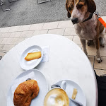 Photo n°1 de l'avis de Tati. fait le 31/05/2022 à 09:14 sur le  Bar - Pasticceria - Gelateria DARIO à Volano