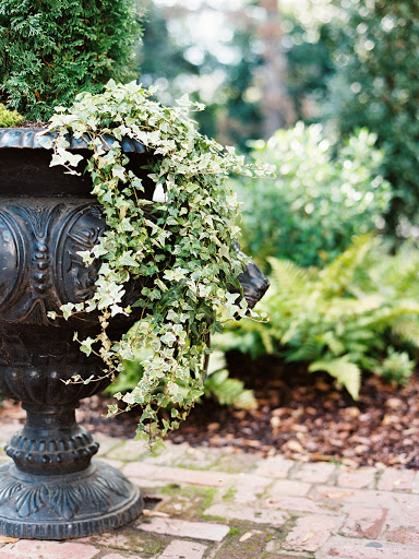 Event Planner «Estate», reviews and photos, 3109 Piedmont Rd NE, Atlanta, GA 30305, USA