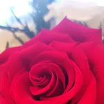 Photo n°1 de l'avis de Graziella.a fait le 27/05/2023 à 20:12 sur le  De Sica Center à Mazzano