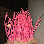 Photo n°8 de l'avis de Glenn.o fait le 26/10/2023 à 20:02 sur le  Le Petit Chef - Berlin à Berlin