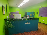 Fluffy Pawz Pet Center - Photo 5 - Car repair in Bartlett, TN, Memphis