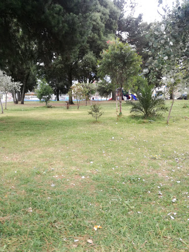 Parque Del Pintado