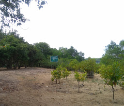 Kawasan Hutan Tahura Ngurah Rai photo