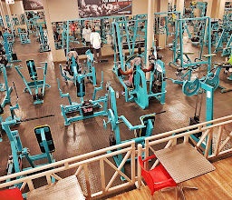 Carlton Gym / Gym Company photo