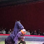 Photo n° 4 de l'avis de Elisabeth.o fait le 07/12/2022 à 13:01 pour Cabaret OrstellA à Fontaine-Guérin