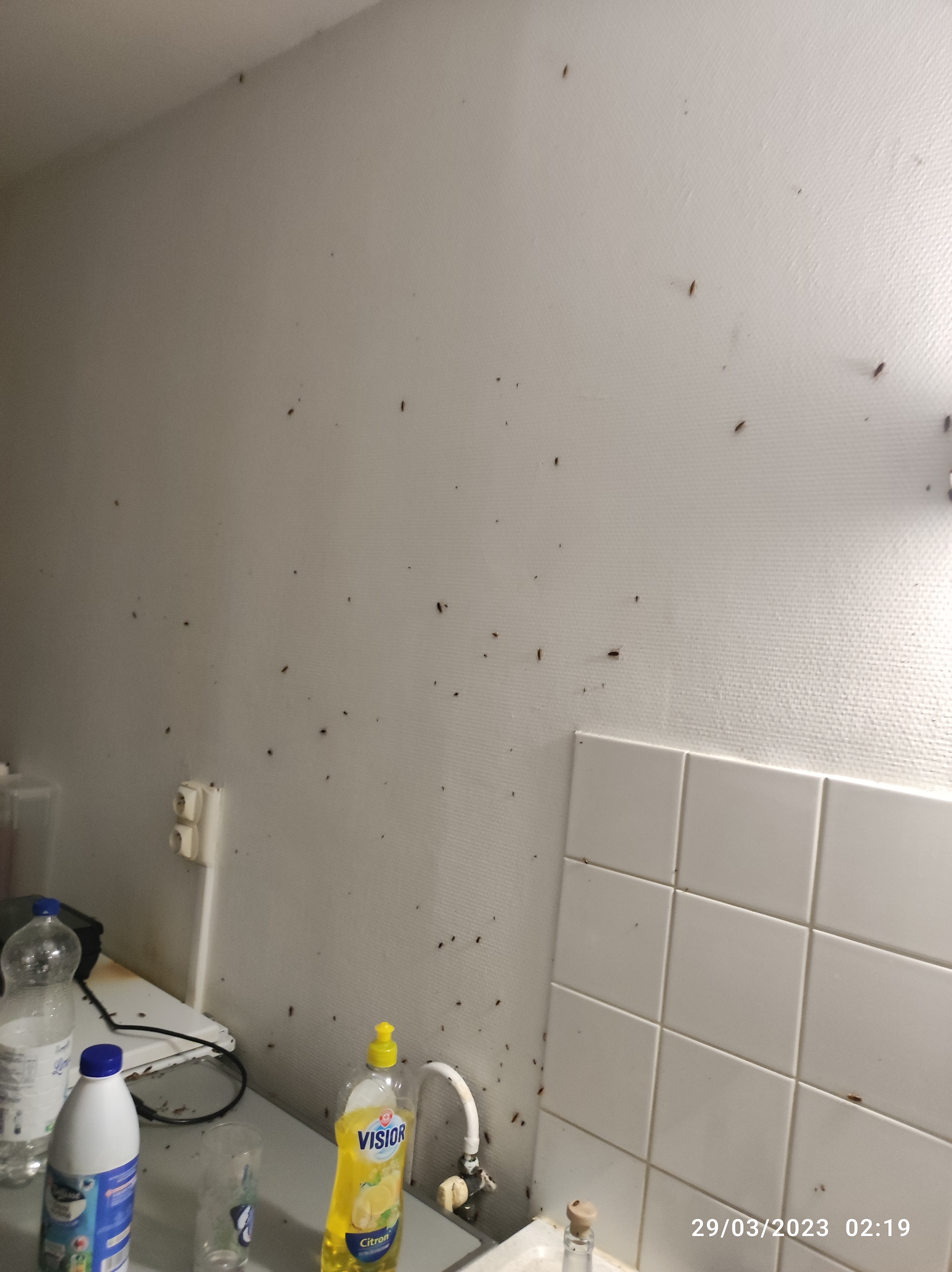 Photo n° 6 de l'avis de laurianne.a fait le 10/08/2023 à 00:32