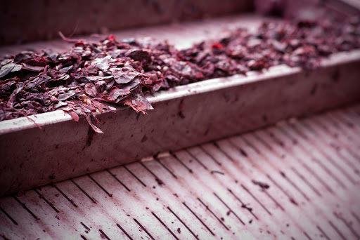 Winery «Turdo Vineyards», reviews and photos, 3911 Bayshore Rd, Cape May, NJ 08204, USA