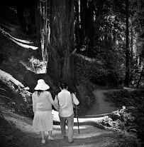 Photography - Car repair in Scotts Valley, CA, Santa Cruz - Rated 0.0/5