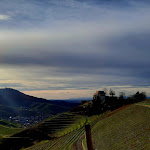 Photo n°4 de l'avis de Regine.e fait le 24/01/2019 à 17:55 sur le  Château de Staufenberg à Durbach