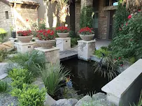 Blooming Vista - Car repair in Queen Creek, AZ, San Tan Valley - Rated 4.9/5