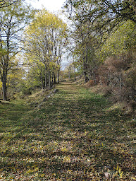 Photo n°5 de carole Dubois à Laveissière ()