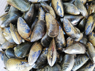 Photo n°67 de BOUTIQUE & BAR À HUITRES COCOLLOS à Bourcefranc-le-Chapus ()