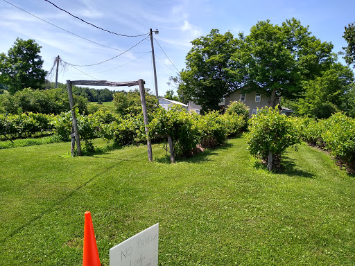 Winery «Hummingbird Hills Winery», reviews and photos, 1442 Burtonville Rd, Fultonville, NY 12072, USA