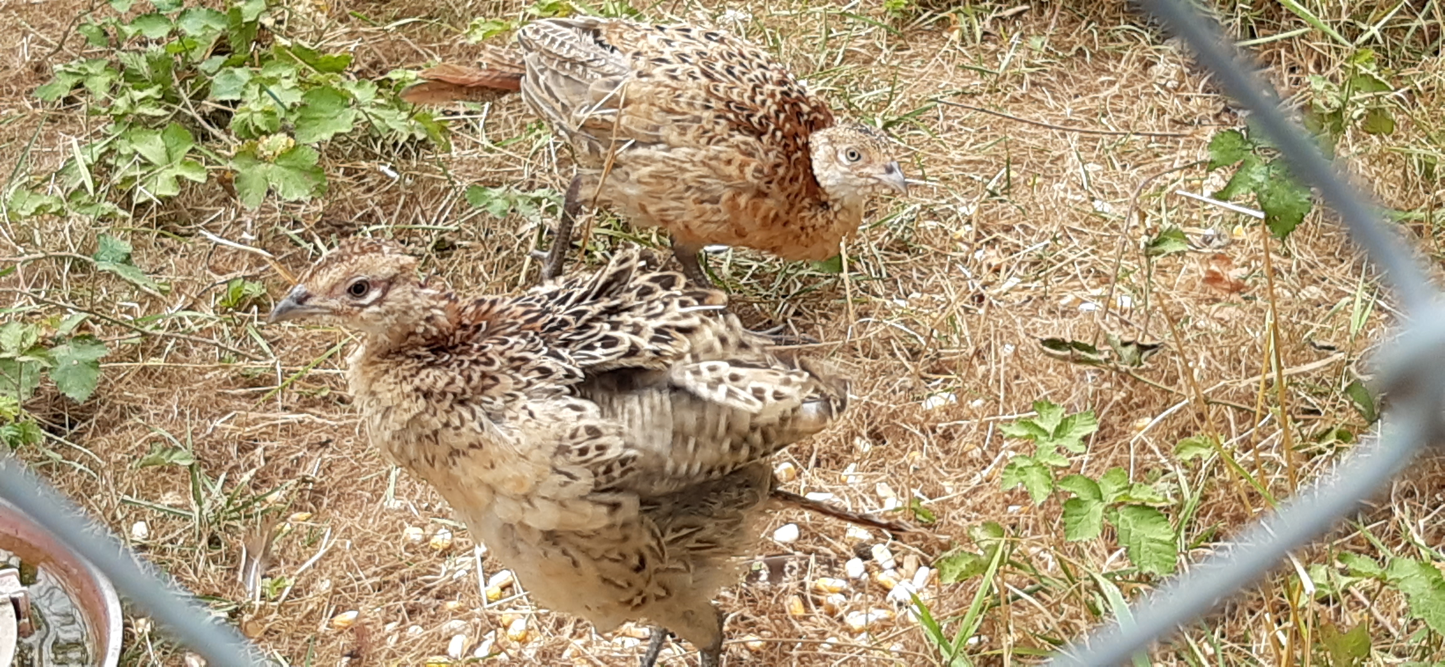 Photo n° 5 de l'avis de Dimitri.u fait le 13/08/2020 à 19:45