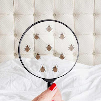 One Hour Pest Control LLC - Photo 5 - Car repair in New York, NY, Queens