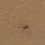 Photo n°1 de l'avis de Pedro.e fait le 13/11/2022 à 15:22 sur le  Hotel Kastanienhof à M. Gladbach