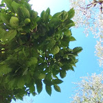 Photo n°8 de l'avis de Massimo.a fait le 05/09/2023 à 17:07 sur le  Wellness Hotel Casa Barca à Malcesine