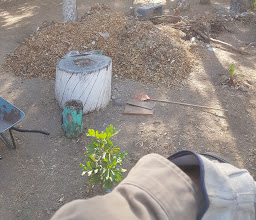 Parque San Rafael photo