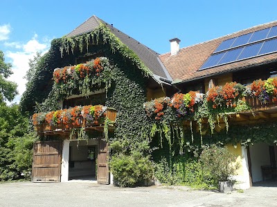 Photos of Golfhotel Murhof