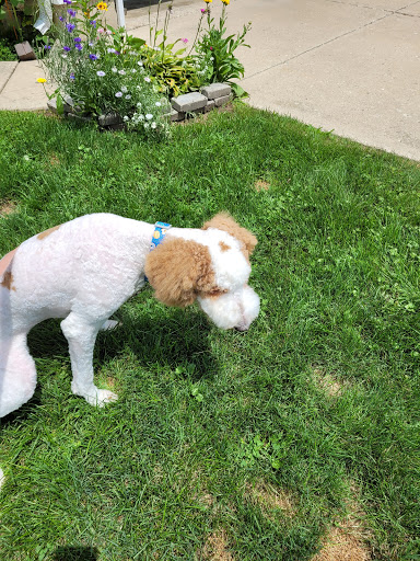 Pet Supply Store «Healthi Paws», reviews and photos, 2912 Calumet Ave, Valparaiso, IN 46383, USA