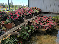 Marcum's Nursery - Photo 8 - Car repair in Norman, OK, Norman