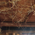 Photo n°4 de l'avis de Ale. fait le 31/08/2021 à 07:01 sur le  Ristorante l'Insonnia snc à Forno di Zoldo