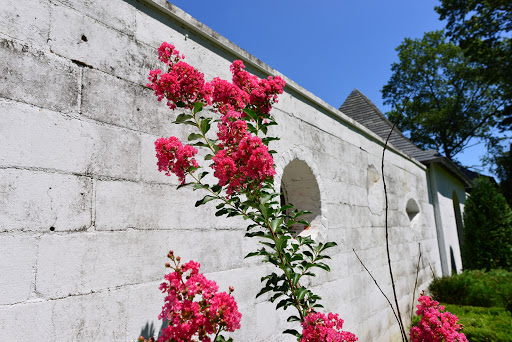 Nature Preserve «Muttontown Preserve», reviews and photos, Jericho-Oyster Bay Road, East Norwich, NY 11732, USA