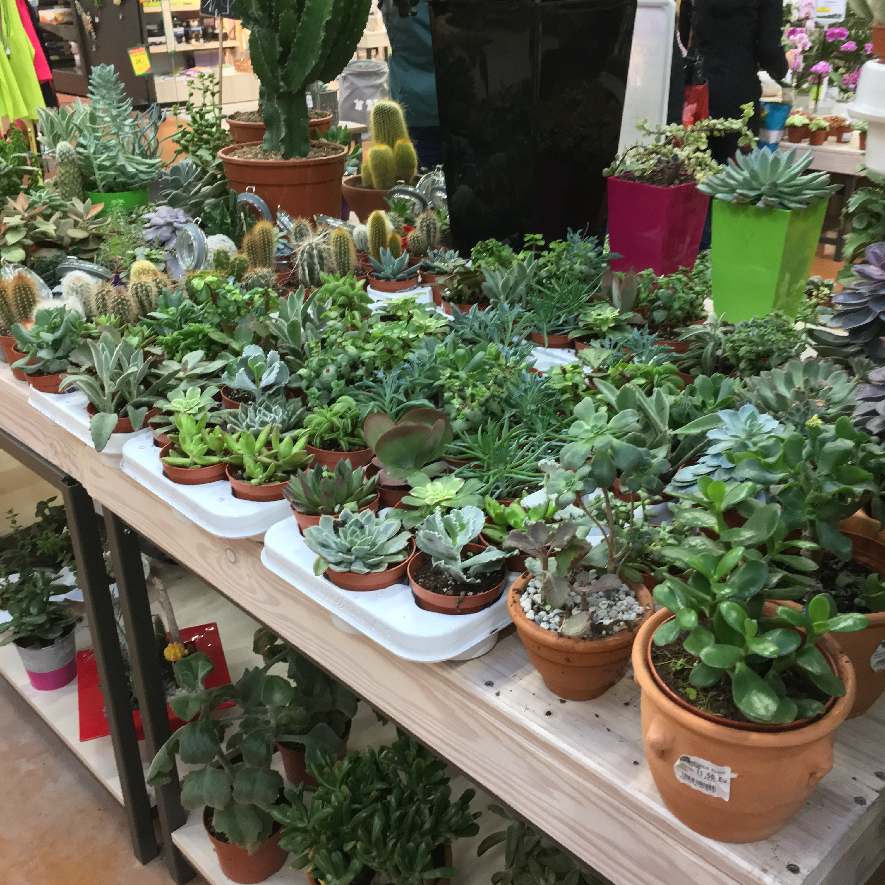 Photo n° 18 de l'avis de SUZANNE.C fait le 15/01/2018 à 09:46