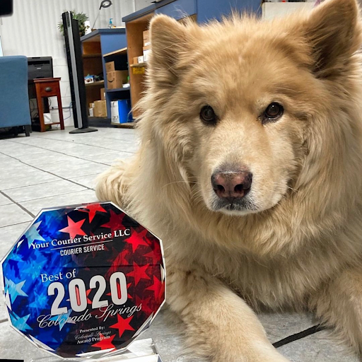 Courier Service «Your Courier Service LLC», reviews and photos, 706 Zion Dr, Colorado Springs, CO 80910, USA