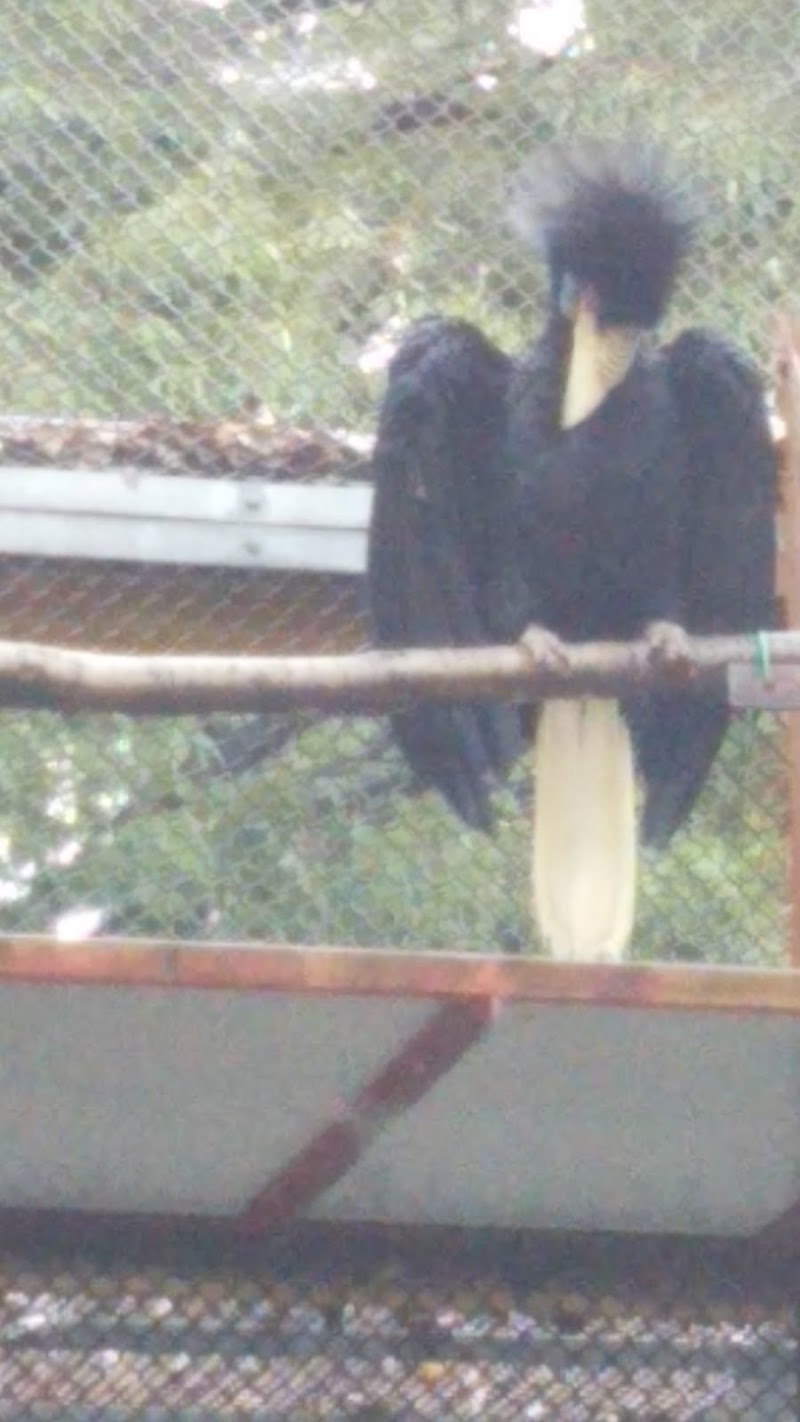 ふれあい動物の森 埼玉県宮代町東粂原 グルコミ