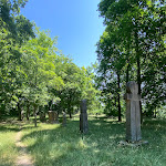 Photo n°50 de l'avis de Flipper. fait le 07/07/2023 à 14:17 sur le  abbaye de Limburg à Bad Dürkheim