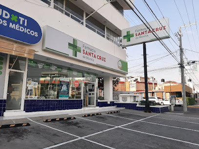 Farmacia Santa Cruz Lázaro Cárdenas I