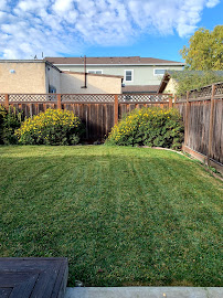 Greener Bay Landscaping Inc. - Photo 5 - Car repair in , San Francisco