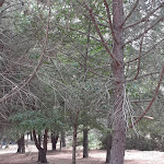 Photo n°5 de l'avis de Luisa.a fait le 18/08/2020 à 14:32 sur le  Inatel Manteigas à Manteigas