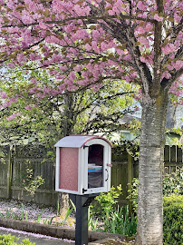 Salem Montessori School - Photo 2 - Car repair in Salem, OR, Salem