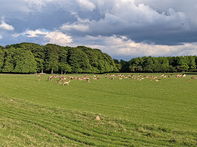 158 anmeldelser af Københavns (Golfklub) i Amager Vest (Hovedstaden)